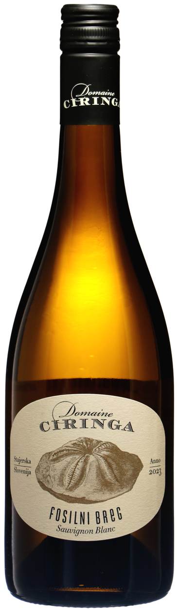 Sauvignon Blanc Fosilni Breg bio 2023 von CIRINGA aus Slowenien