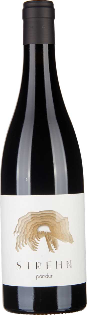 Pandur 2019 von STREHN aus Österreich