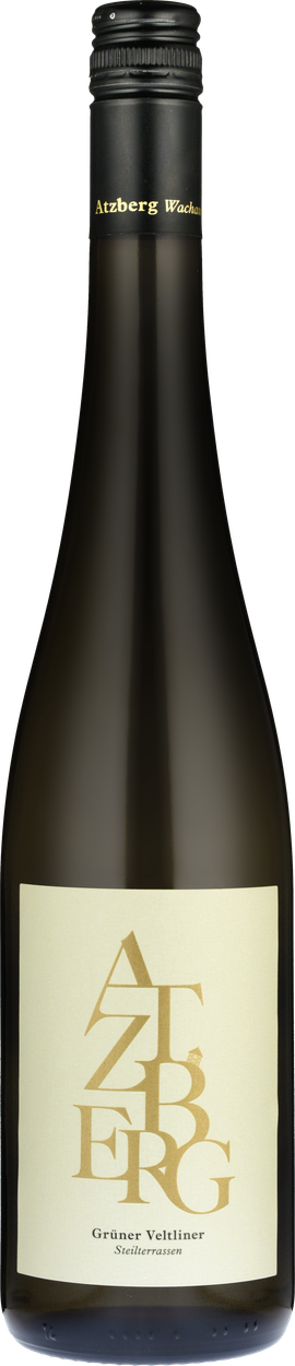 Grüner Veltliner Smaragd Steilterrassen 2023 von ATZBERG aus Österreich