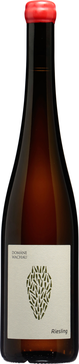 Riesling Amphora 2022 von DOMÄNE WACHAU aus Österreich