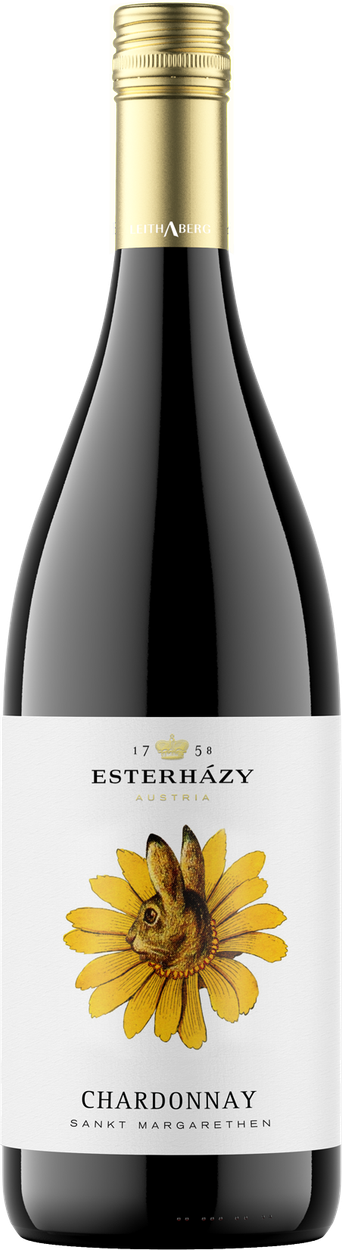 Chardonnay St. Margarethen Leithaberg DAC bio 2023 von ESTERHÁZY aus Österreich