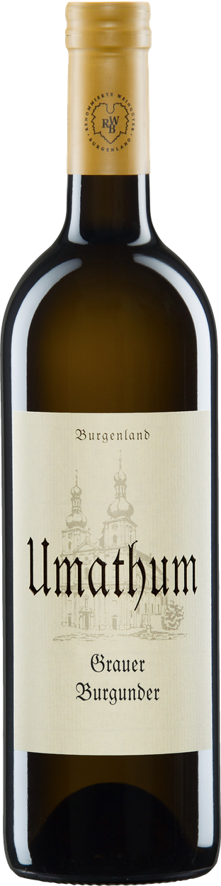 Grauburgunder 2023 von UMATHUM aus Österreich