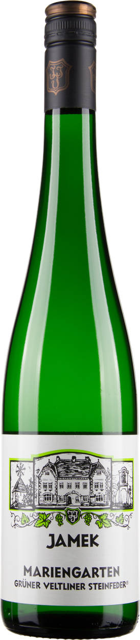 Grüner Veltliner Steinfeder 2025 von JAMEK aus Österreich