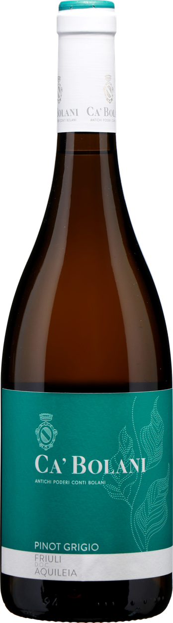 Pinot Grigio 2023 von CÀ BOLANI aus Italien