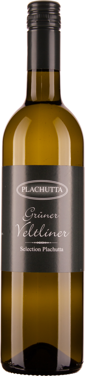 Grüner Veltliner Plachutta Selection 2023 von SCHLOSS GOBELSBURG aus Österreich