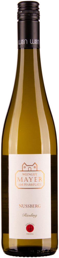 Wein aus Österreich Rarität Riesling Ried Nussberg 2016 Glasflasche