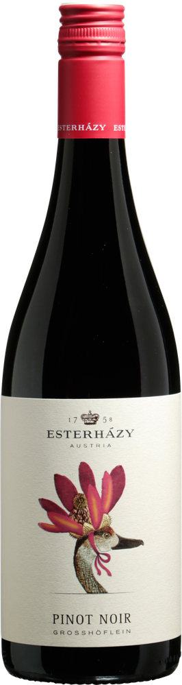 Wein aus Österreich Pinot Noir Großhöflein 2021 Glasflasche