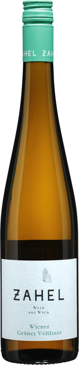 Grüner Veltliner Wiener bio 2024 von ZAHEL aus Österreich