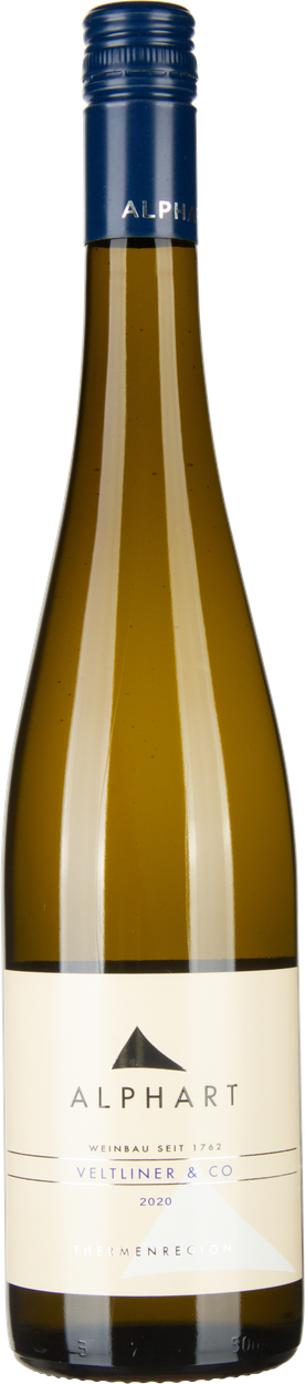 Veltliner & Co bio 2025 von ALPHART aus Österreich