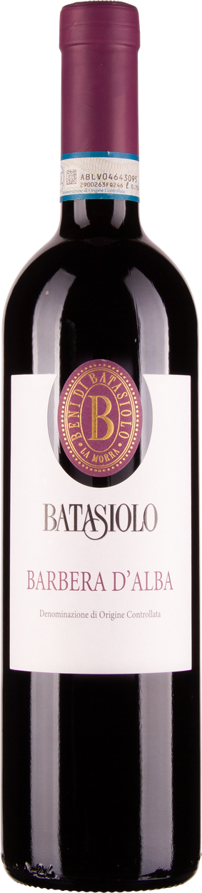Barbera d'Alba 2023 von BATASIOLO aus Italien