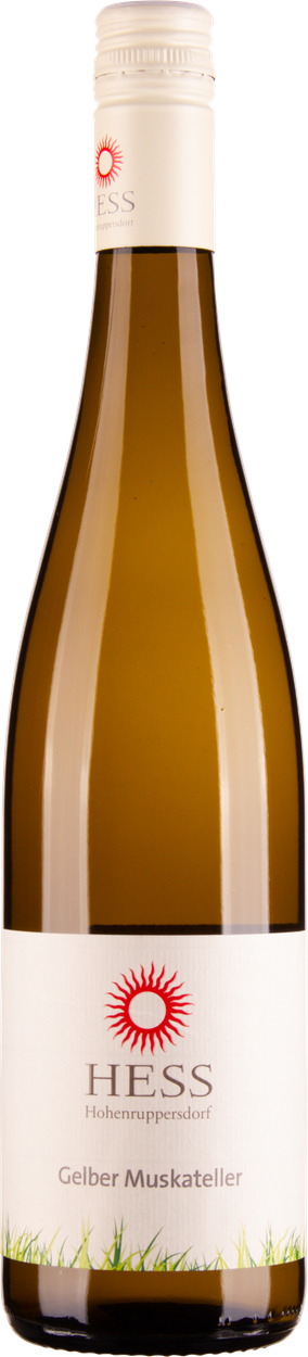 Gelber Muskateller bio 2025 von HESS aus Österreich