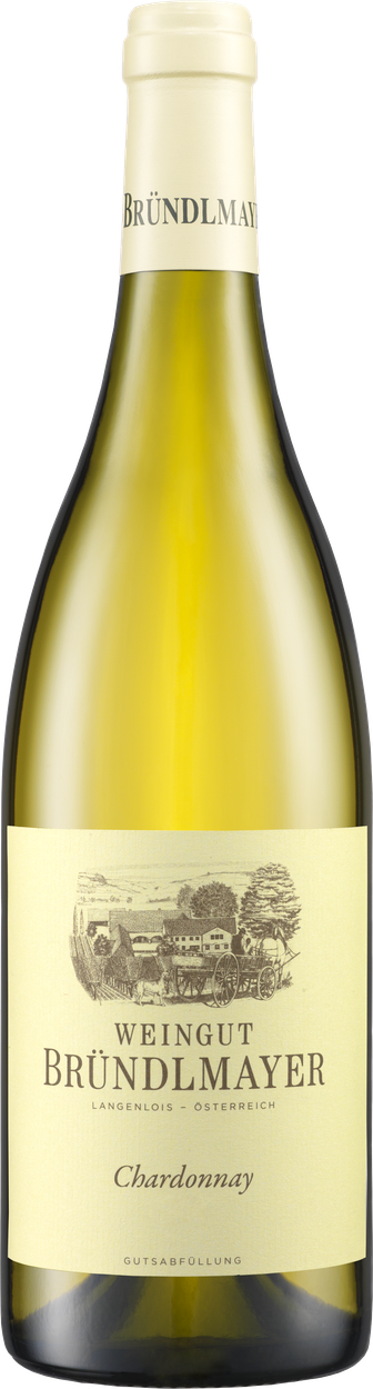 Chardonnay Ried Steinberg bio 2022 von BRÜNDLMAYER aus Österreich