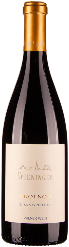 Wein aus Österreich Rarität Pinot Noir Grand Select bio 2015 Glasflasche