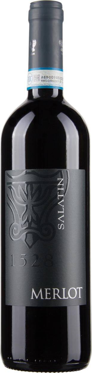 Merlot Venezia DOC 2023 von SALATIN aus Italien