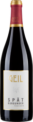 Wein aus Deutschland Spätburgunder trocken Gutswein 2022 Glasflasche