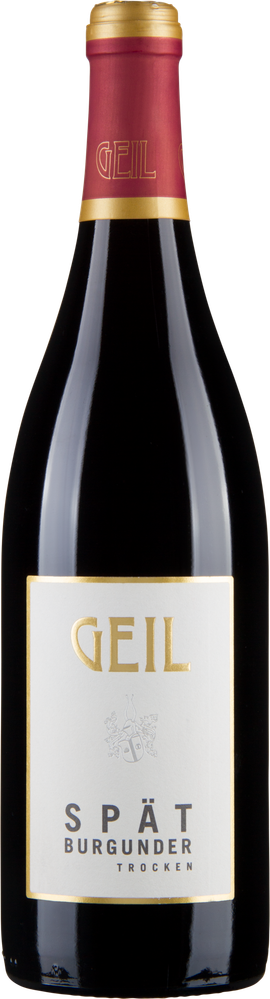 Wein aus Deutschland Spätburgunder trocken Gutswein 2022 Glasflasche