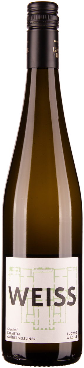 Grüner Veltliner Ludwig & Adele bio 2025 von GEYERHOF aus Österreich