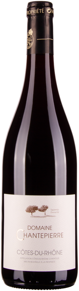 Wein aus Frankreich Côtes du Rhône 2023 Glasflasche