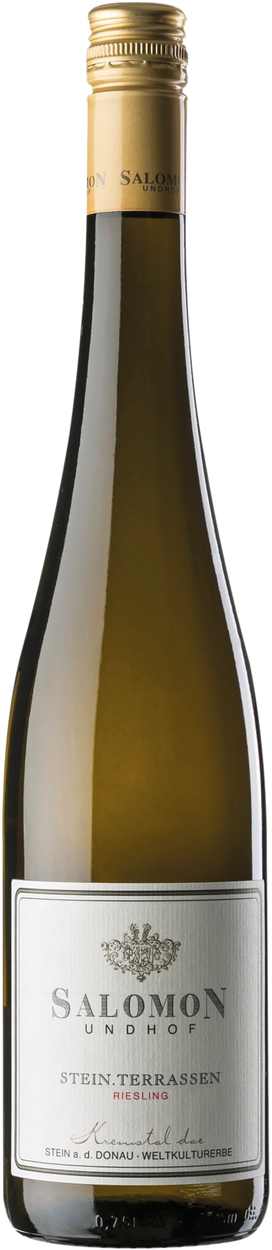 Riesling Terrassen Kremstal DAC 2025 von SALOMON UNDHOF aus Österreich