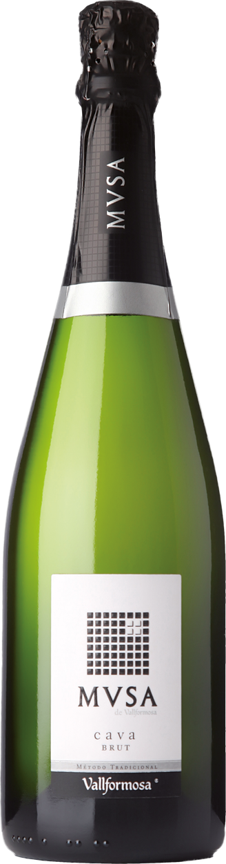 Cava Brut von MUSA aus Spanien