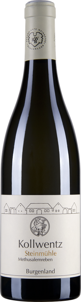 Wein aus Österreich Rarität Sauvignon Blanc Steinmühle Methusalemrebe 2008 Glasflasche