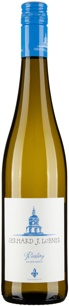 Wein aus Österreich Riesling Mannersdorf an der March 2023 Glasflasche