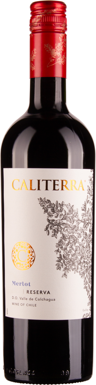 Merlot Reserva 2021 von CALITERRA aus Chile