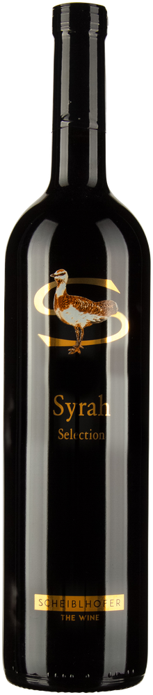 Wein aus Österreich Syrah Selection 2022 Glasflasche