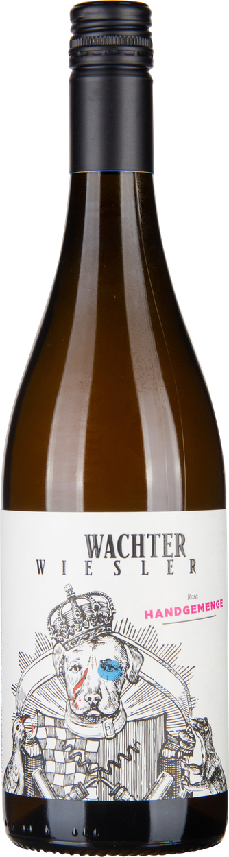 Rosa Handgemenge 2023 von WACHTER-WIESLER aus Österreich