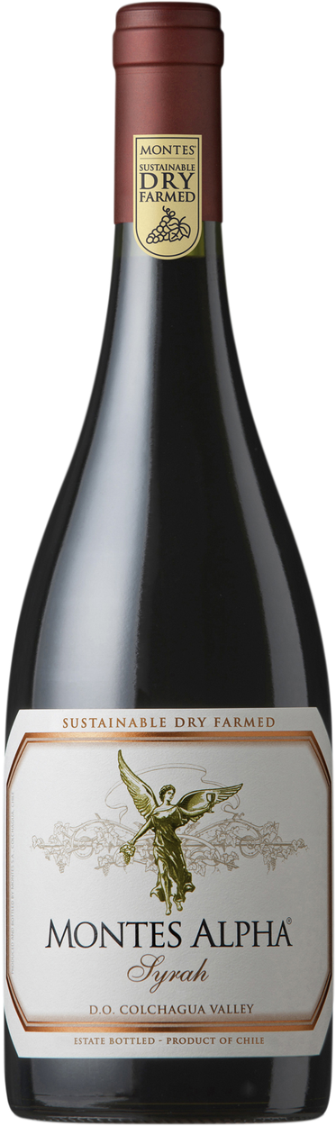 Syrah Alpha 2022 von MONTES aus Chile