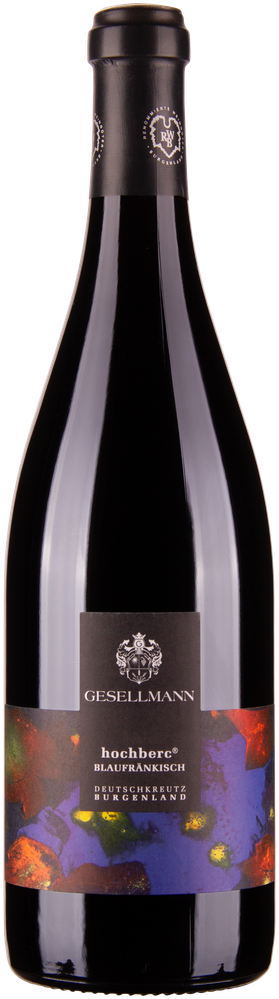 Wein aus Österreich Rarität Blaufränkisch Hochberc 2019 Glasflasche