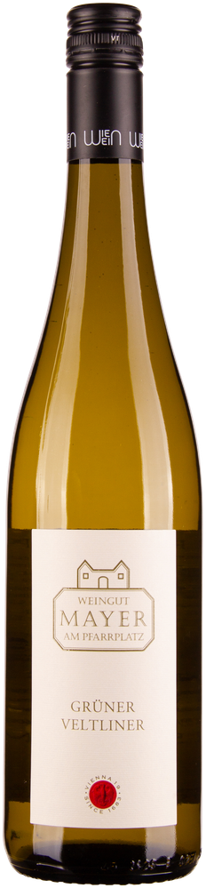 Wein aus Österreich Grüner Veltliner 2023 Glasflasche