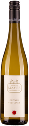 Wein aus Österreich Grüner Veltliner 2023 Glasflasche