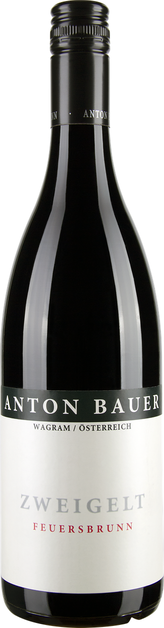 Zweigelt Feuersbrunn 2019 von ANTON BAUER aus Österreich