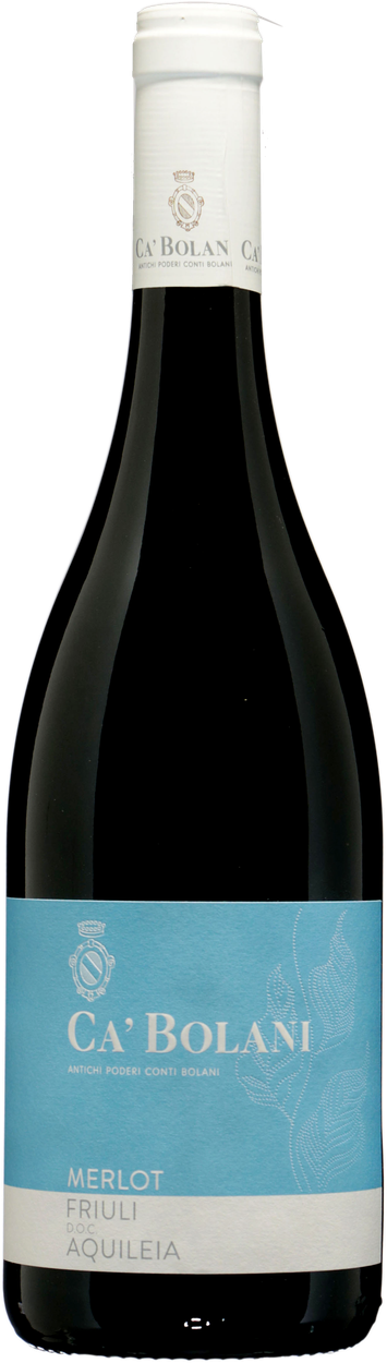 Merlot 2022 von C�� BOLANI aus Italien