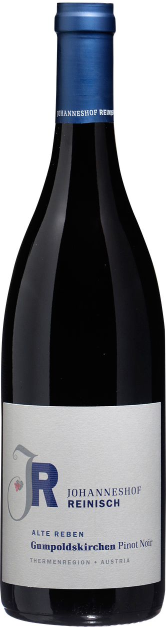 Pinot Noir Gumpoldskirchen Alte Reben Grillenhügel bio 2021 von FAMILIE REINISCH aus Österreich