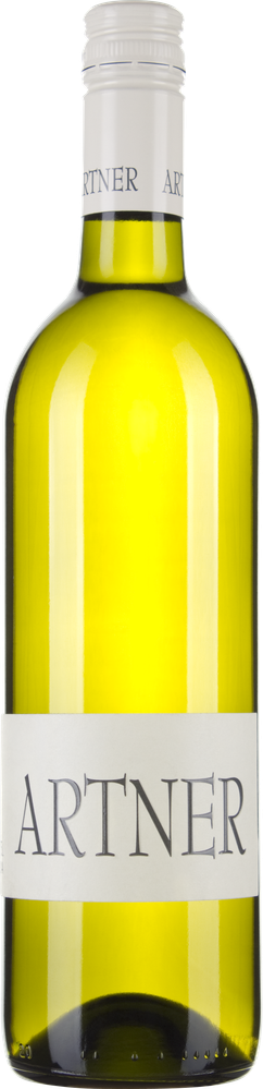 Wein aus Österreich Grüner Veltliner Carnuntum DAC 2023 Verkaufseinheit