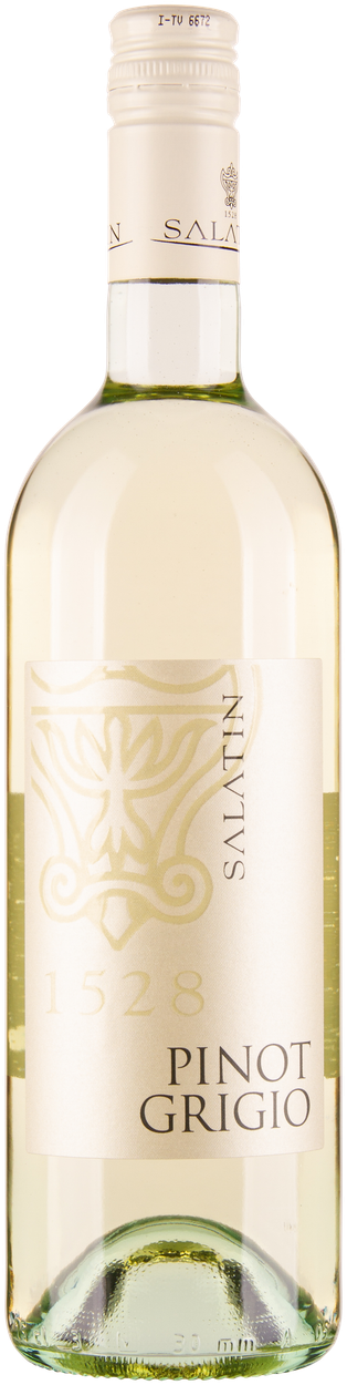 Pinot Grigio Friuli Grave DOC 2024 von SALATIN aus Italien