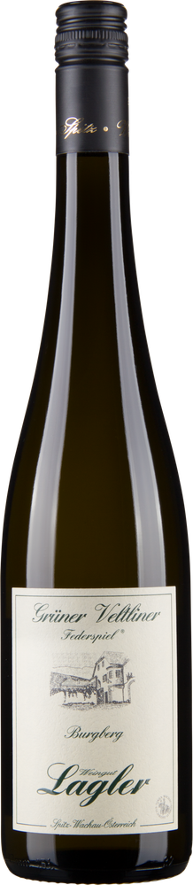 Wein aus Österreich Grüner Veltliner Federspiel Ried Burgberg Wachau DAC 2023 Glasflasche