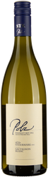 Wein aus Österreich Sauvignon Blanc Südsteiermark DAC 2023 Glasflasche