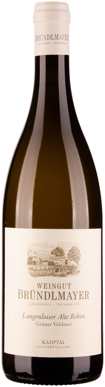 Grüner Veltliner Alte Reben Kamptal DAC Reserve bio 2023 von BRÜNDLMAYER aus Österreich