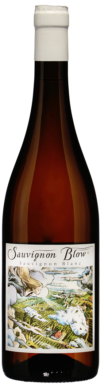 KTCN Sauvignon Blow bio 2024 von NEUMEISTER aus Österreich