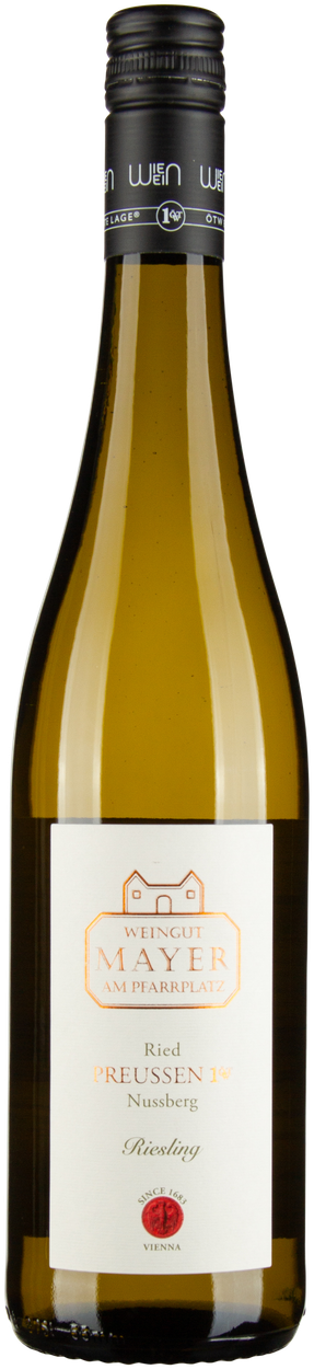 Riesling Ried Preussen-Nußberg 2022 von MAYER AM PFARRPLATZ aus Österreich