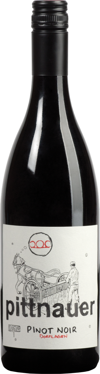 Pinot Noir bio 2023 von PITTNAUER aus Österreich