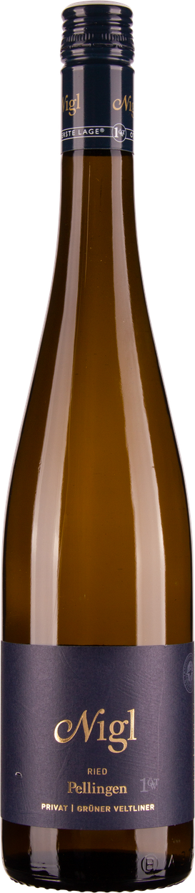 Grüner Veltliner Ried Pellingen 1ÖTW Privat Kremstal DAC 2022 von NIGL aus Österreich
