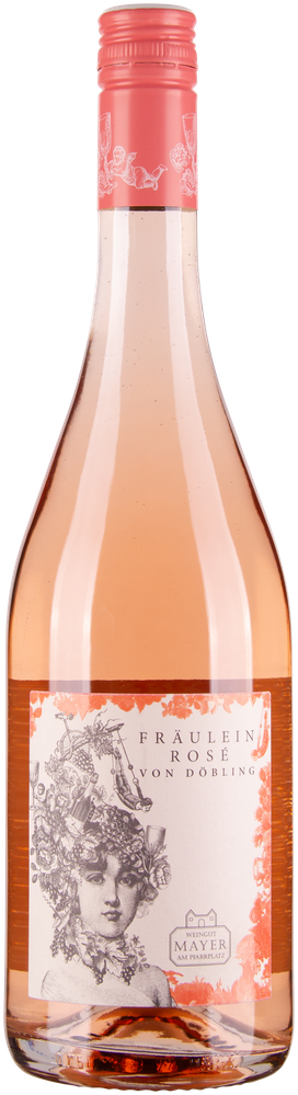Wein aus Österreich Fräulein Rosé von Döbling 2023 Glasflasche