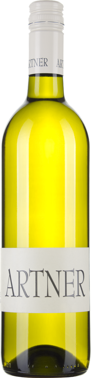 Grüner Veltliner Carnuntum DAC bio 2025 von ARTNER aus Österreich