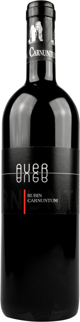 Zweigelt Rubin Carnuntum 2022 von MICHAEL AUER aus Österreich