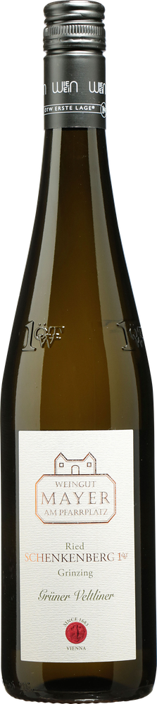 Wein aus Österreich Grüner Veltliner Ried Schenkenberg 1 ÖTW 2022 Glasflasche