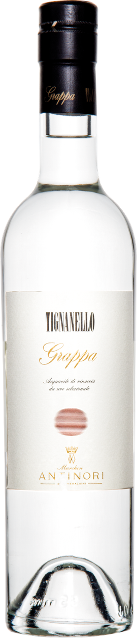 Tignanello Grappa von ANTINORI aus Italien